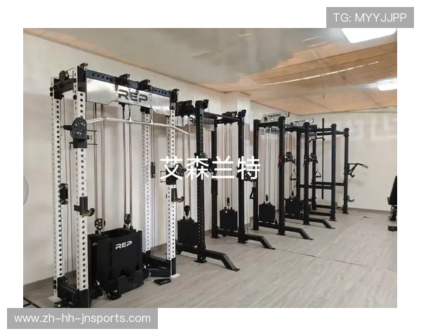 最有效的健身器材推荐及训练建议