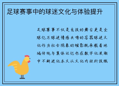足球赛事中的球迷文化与体验提升