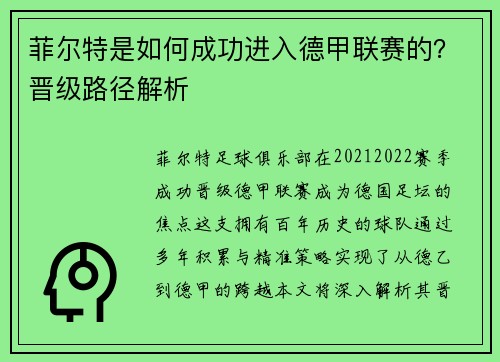 菲尔特是如何成功进入德甲联赛的？晋级路径解析